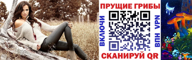 Псилоцибиновые грибы Magic Shrooms  Купить  Городец 